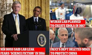 US researchers found ‘serious safety concerns’ at Wuhan’s COVID lab in 2017, three years before pandemic, but were censored to shield China from criticism, new documents show