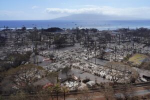 Maui wildfire advocacy group celebrates short-term rental bill passing Senate-House conference committee