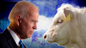BIDEN FOOD SHORTAGE: America’s Dairy Cow Replacement Inventory Collapses To Two-Decade Low 