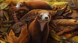 New mammal found in Colorado dates back to the period just after dinosaur extinction