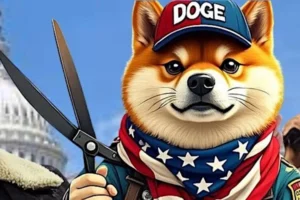 EXCLUSIVE: Trump admin takes action after massive fraud uncovered at agency Dems tried to protect from DOGE