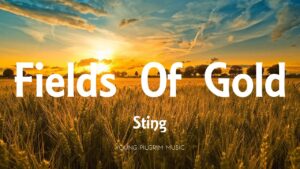 Sting – “Fields Of Gold” (1993)