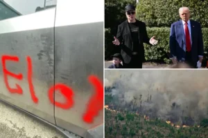 Chadwick Moore: The Tesla attacks are proof that the left is turning on itself in orgy of liberal cannibalism