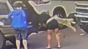Suspect in Wahiawa charged with animal cruelty after video of dog swung by neck, slammed on ground