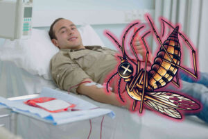 Scientists have reportedly figured out how to turn your blood into mosquito poison