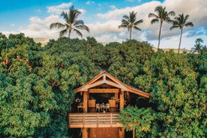 15 Hawaiʻi Restaurants and Bars to Visit for Unforgettable Experiences