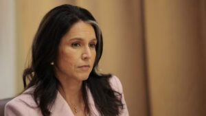 Tulsi Gabbard Targets ‘Deep-State’ Intelligence Leakers With Criminal Referrals