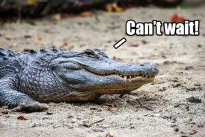 CAN’T WAIT!  DeSantis says “Alligator Alcatraz” in the middle of the Everglades will be ready to house illegal aliens by next week