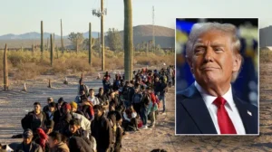 Hauman — AI ACTION PLAN: Trump’s border enforcement unleashes new weapon against illegal immigration