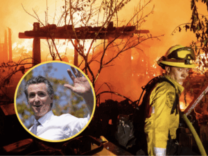 ‘ABSOLUTELY HORRIBLE’: Trump torches insurance giants by name who ‘not there to help’ after devastating California fires