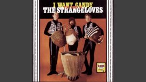 The Strangeloves – “I Want Candy” (1965)