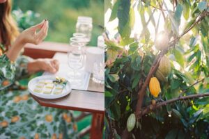 Take a Sweet Escape at Maui Chocolate Tour’s Newest Experience