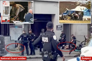 IN THE LINE OF DUTY: Two National Guard troops shot near White House in suspected terror attack, alleged gunman in custody