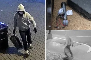 PIPE BOMB BUST: FBI makes arrest in Jan. 6 pipe bomb probe nearly 5 years after devices were discovered — Suspect probed for possible ‘anarchist’ beliefs