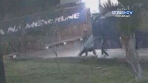 Surveillance video shows post-game assault on Moanalua High School athletics official