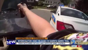 *This* Is Why the ICE Agent Opened Fire on the Driver That Reportedly Tried to Ram Him in Minneapolis