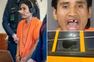 INVASION USA — HIGHWAY TERROR: ‘Monster’ rock-thrower who fractured skull of 8-year-old New Jersey girl on school bus is an illegal alien from Mexico