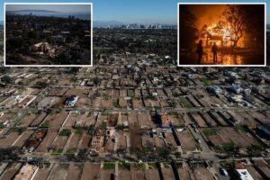 NEWSCUM ALERT — EXCLUSIVE PHOTOS: Jaw-dropping LA wildfire photos from before and after show devastating scale of destruction, government failures