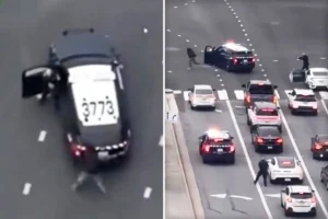 SPLAT!  San Jose, California carjacker mowed down and shot by cops in wild video