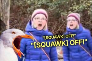 GET A LIFE LADY: This “Legendary Karen” did her best seagull impression to chase off duck hunters, but they found it funny