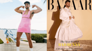 STUPID BUNNY ALERT — BOYCOTT THE SUPER BOWL: The NFL Hates You