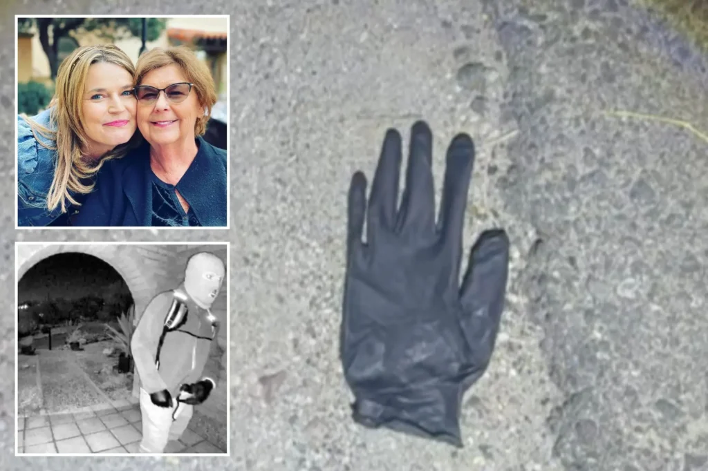 REPORT: Arizona couple found blood-spotted glove, rock with blood on it in desert mile from Nancy Guthrie’s home