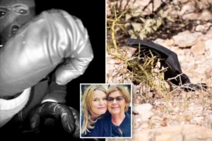 ONE STEP CLOSER: DNA found on glove located near Nancy Guthrie’s home — and may be from armed suspect seen on her doorbell cam: FBI