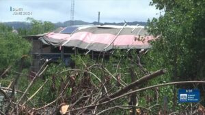 Floating monster home for homeless looms over Kalihi stream