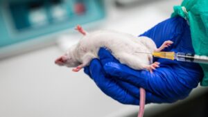 Secret Biolab in Las Vegas May Have Links to Chinese Lab Found in California