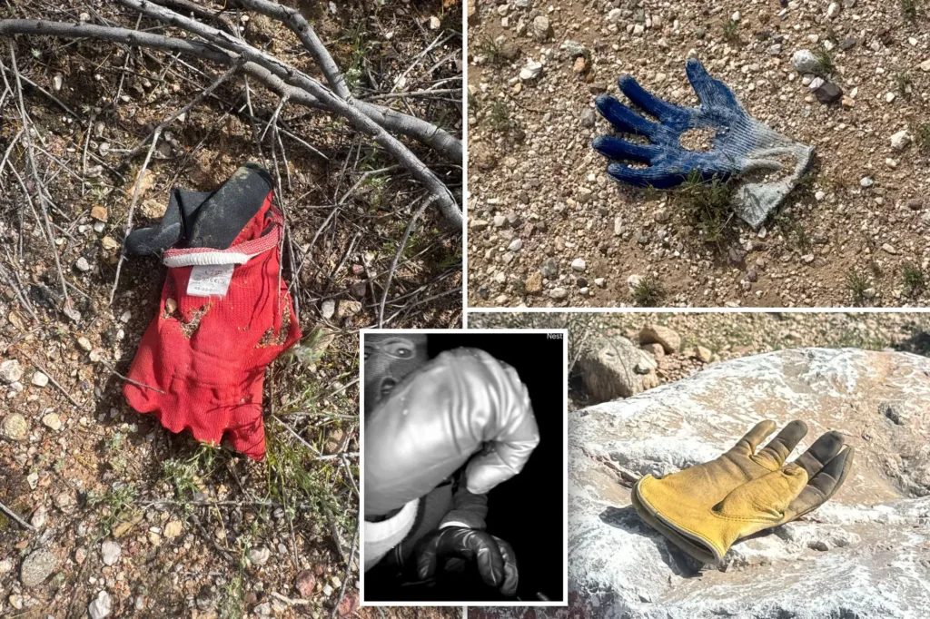 EXCLUSIVE: Multiple additional gloves found by The NY Post in same area near Nancy Guthrie’s house where FBI found potential evidence