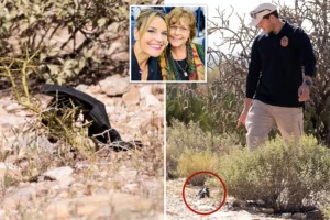 EXCLUSIVE: Mysterious black glove found near Nancy Guthrie’s home could hold crucial clue: Former FBI agent