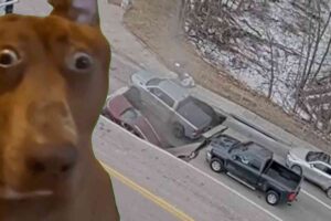 WATCH: Sinkhole swallows two cars stopped at Nebraska traffic light