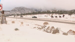 PHOTOS: Snowfall in Southern Nevada mountains