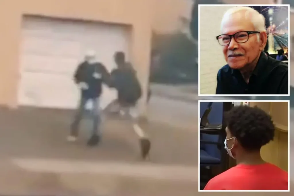 OUTRAGE: Democrat City of San Francisco judge sentences killer of Thai grandpa to PROBATION, claiming prison would have a ‘poor impact’ on him