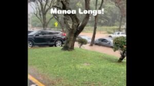 Cars submerged in flash flooding in Manoa