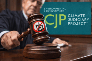 Inside the Left-Wing Operation to ‘Train’ Judges About Climate Change: Free Trips to Napa Valley, Palm Beach, and Hawaii Fuel a Secret Judge Recruitment Operation