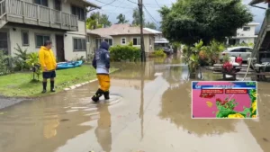 Kailua homes flooded with sewage after heavy storm