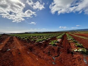 Kaua‘i’s Robinson Family Seeks To Evict Major Hawaiʻi Farm: Nearly $700,000 in unpaid rent from Aloun Farms