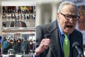 Senate Democrats Block DHS Funding As Airport Chaos Mounts Nationwide