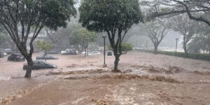 UPDATE: Manoa inundated as flash flooding turns streets into streams