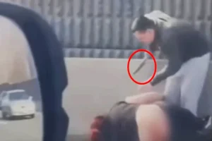 State Department IT worker stabbed complete strangers and his own dog in deadly Virginia road rage rampage