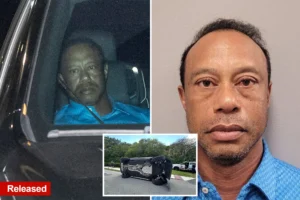 FREE AS A BIRDIE: Tiger Woods released from Florida jail hours after car crash, DUI bust