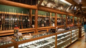 Democrats Love Gun Control And Violent Criminals Because Both Can Punish You