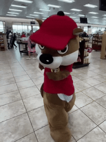 Illinois couple drives to Tennessee to get hitched at Buc-ee’s 🇺🇸