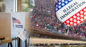 INVASION USA: Minnesota Elections Official Finally Admits What We All Knew About Illegals Voting