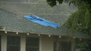 Roofing companies flooded with work statewide following storm