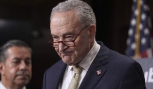 Chuck Schumer Gets Put in His Place After Claiming Nobody Respects ICE or CBP: ‘The definition of a lying scumbag politician? That is YOU’