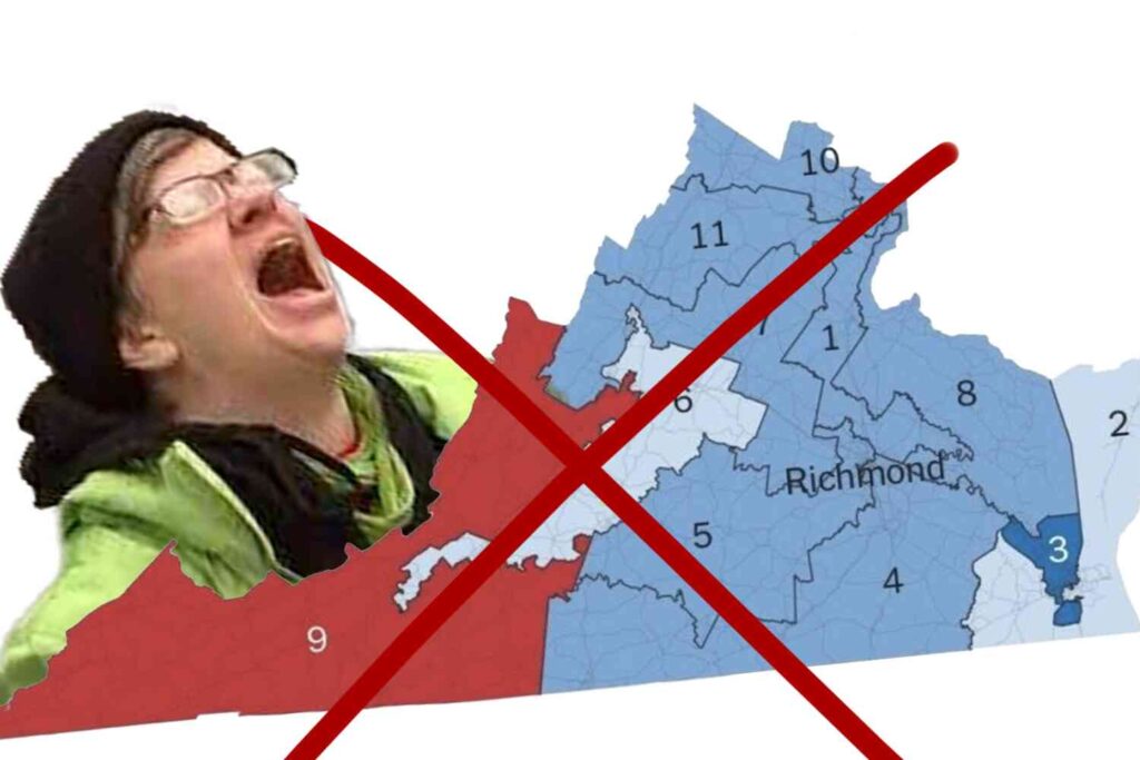 Virginia Supreme Court upholds pause on Democrats’ stupid new map