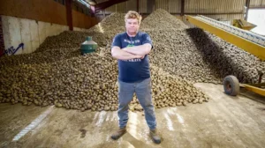 Weight-loss drugs crush food demand as farmers face dumping mountains of potatoes