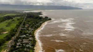 IMPERFECT PARADISE: Sewage, bacteria and sharks lurk in brown coastal waters after repeat flooding